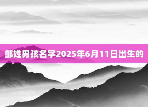 邹姓男孩名字2025年6月11日出生的