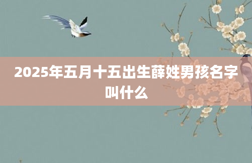 2025年五月十五出生薛姓男孩名字叫什么
