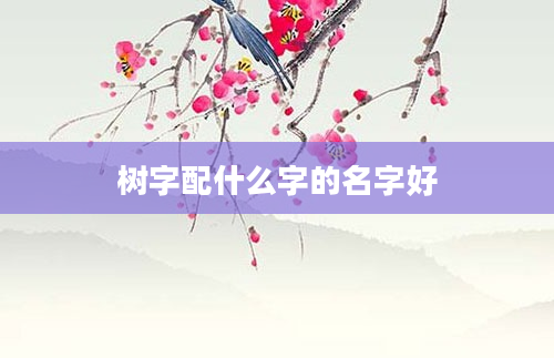 树字配什么字的名字好