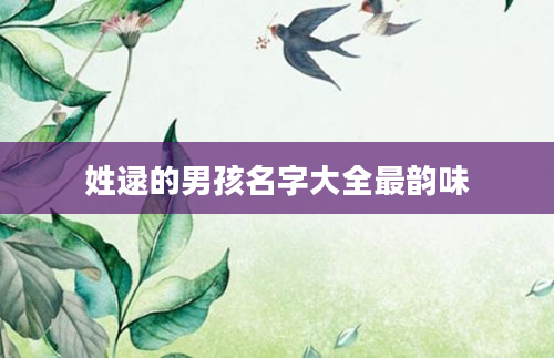 姓逯的男孩名字大全最韵味