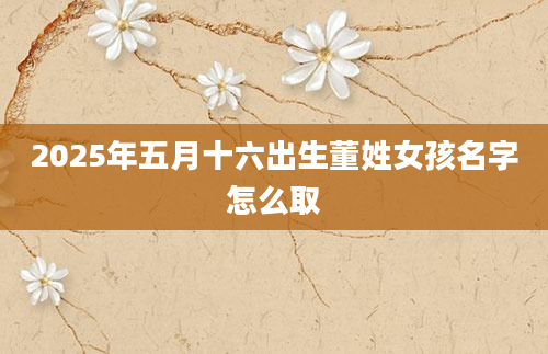 2025年五月十六出生董姓女孩名字怎么取