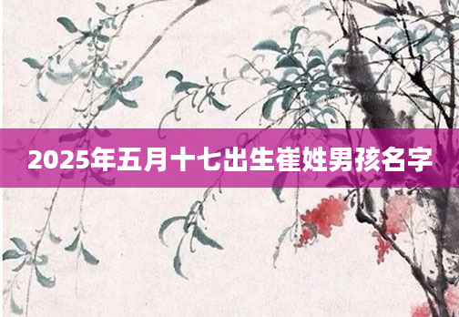 2025年五月十七出生崔姓男孩名字