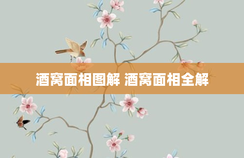 酒窝面相图解 酒窝面相全解