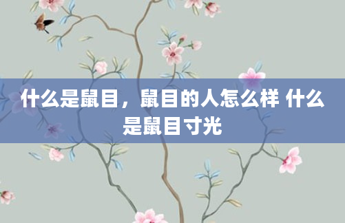 什么是鼠目，鼠目的人怎么样 什么是鼠目寸光