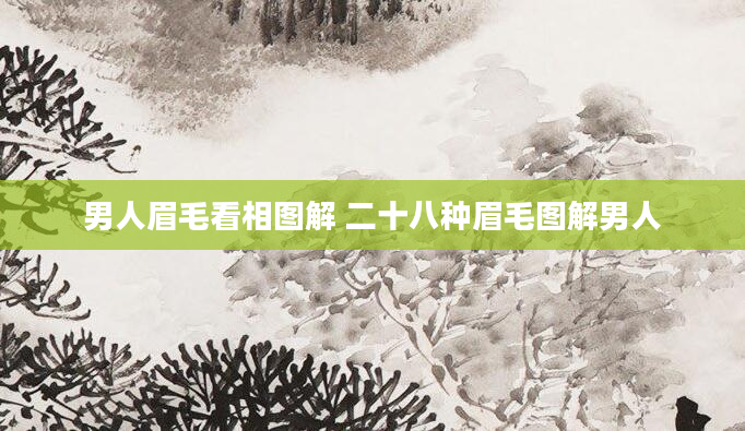男人眉毛看相图解 二十八种眉毛图解男人