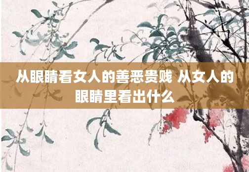 从眼睛看女人的善恶贵贱 从女人的眼睛里看出什么