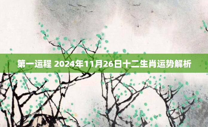 第一运程 2024年11月26日十二生肖运势解析
