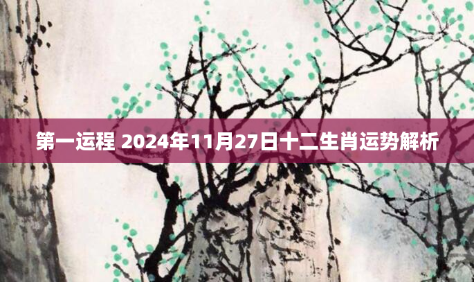 第一运程 2024年11月27日十二生肖运势解析