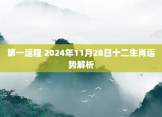 第一运程 2024年11月28日十二生肖运势解析