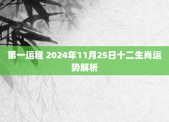 第一运程 2024年11月25日十二生肖运势解析