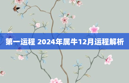 第一运程 2024年属牛12月运程解析