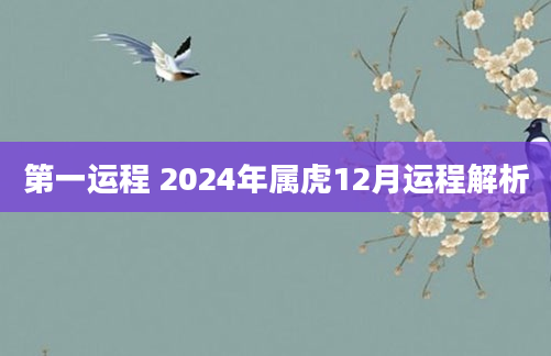 第一运程 2024年属虎12月运程解析