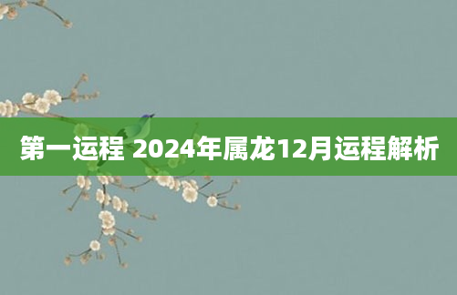 第一运程 2024年属龙12月运程解析