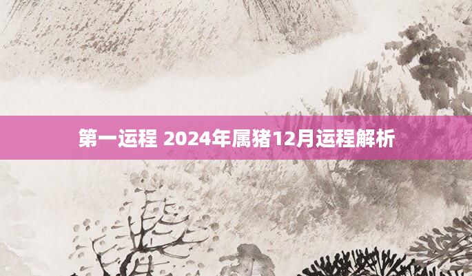 第一运程 2024年属猪12月运程解析