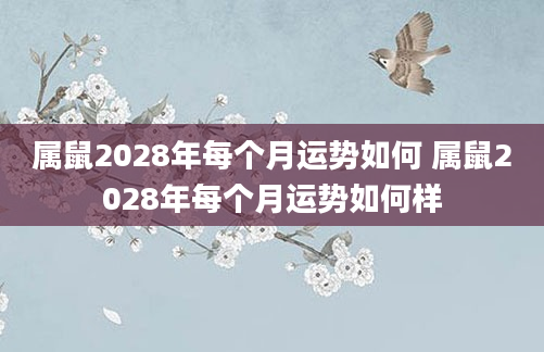 属鼠2028年每个月运势如何 属鼠2028年每个月运势如何样