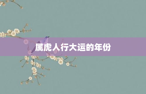 属虎人行大运的年份