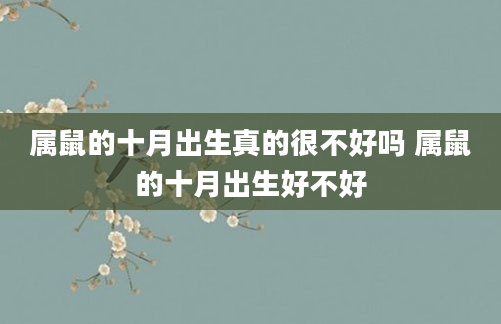 属鼠的十月出生真的很不好吗 属鼠的十月出生好不好