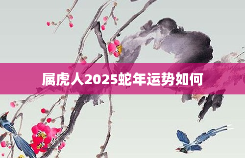 属虎人2025蛇年运势如何