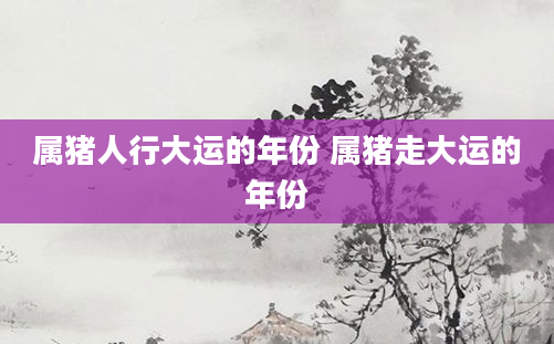 属猪人行大运的年份 属猪走大运的年份