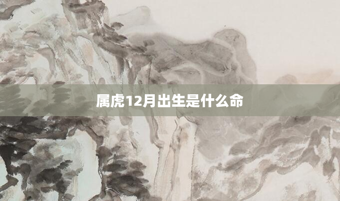 属虎12月出生是什么命