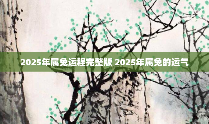2025年属兔运程完整版 2025年属兔的运气
