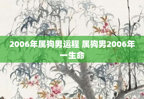 2006年属狗男运程 属狗男2006年一生命