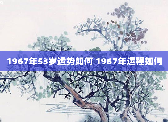 1967年53岁运势如何 1967年运程如何