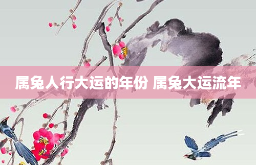 属兔人行大运的年份 属兔大运流年