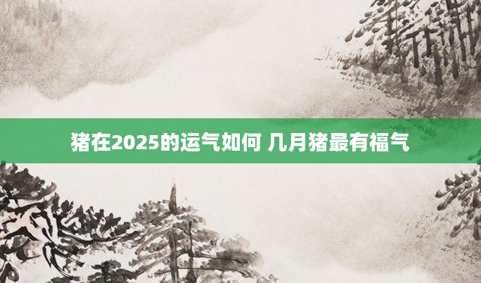 猪在2025的运气如何 几月猪最有福气