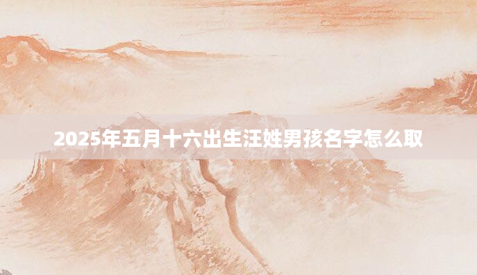2025年五月十六出生汪姓男孩名字怎么取