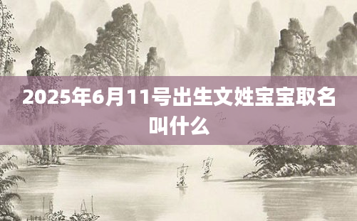 2025年6月11号出生文姓宝宝取名叫什么