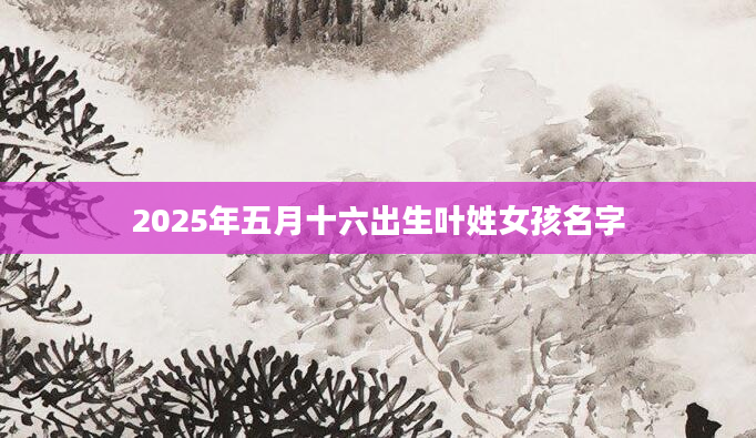2025年五月十六出生叶姓女孩名字