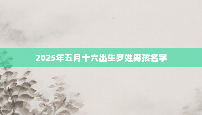 2025年五月十六出生罗姓男孩名字
