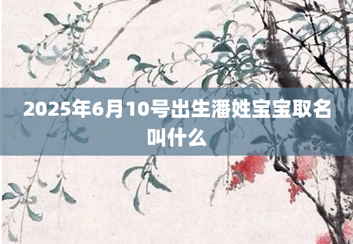 2025年6月10号出生潘姓宝宝取名叫什么