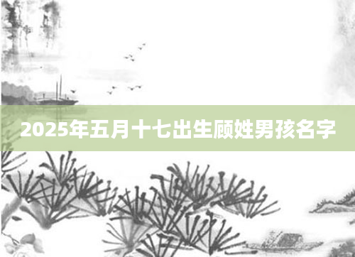 2025年五月十七出生顾姓男孩名字