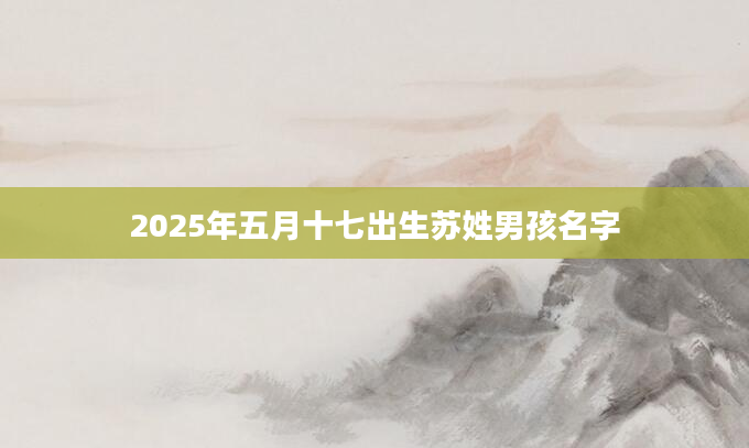2025年五月十七出生苏姓男孩名字