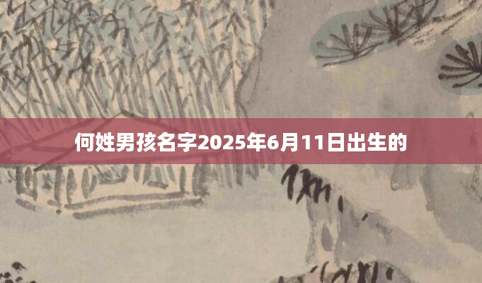 何姓男孩名字2025年6月11日出生的