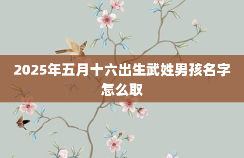 2025年五月十六出生武姓男孩名字怎么取