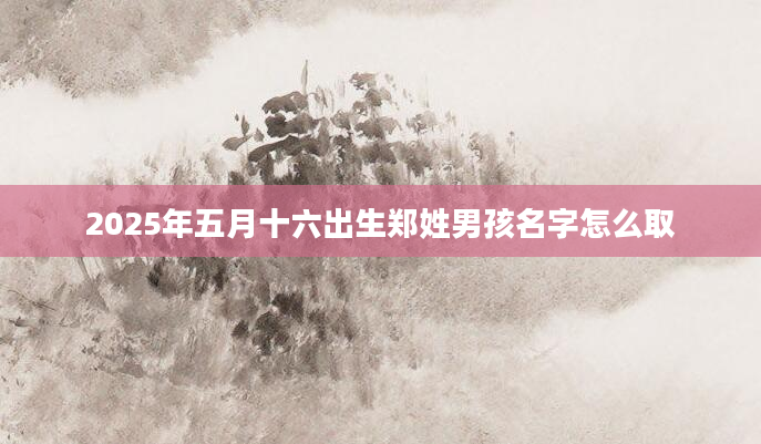 2025年五月十六出生郑姓男孩名字怎么取