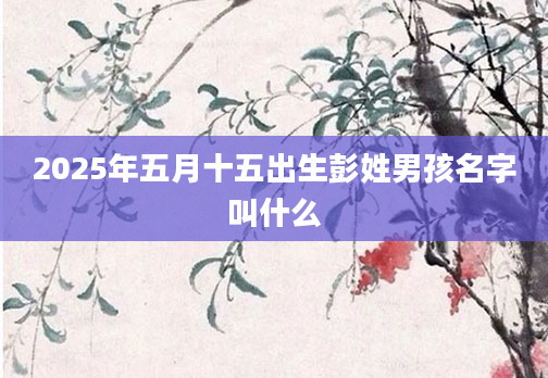 2025年五月十五出生彭姓男孩名字叫什么
