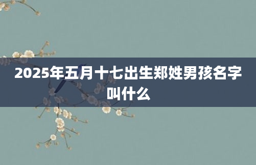 2025年五月十七出生郑姓男孩名字叫什么