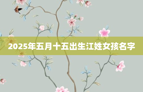 2025年五月十五出生江姓女孩名字