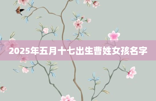 2025年五月十七出生曹姓女孩名字