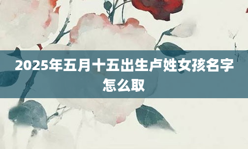 2025年五月十五出生卢姓女孩名字怎么取