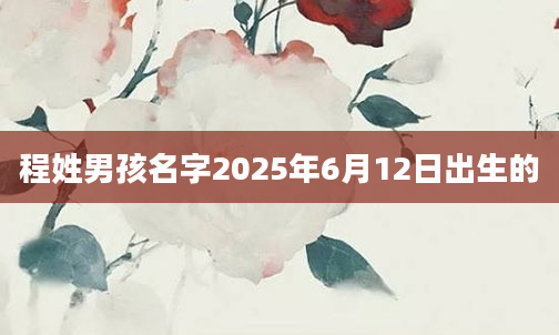 程姓男孩名字2025年6月12日出生的