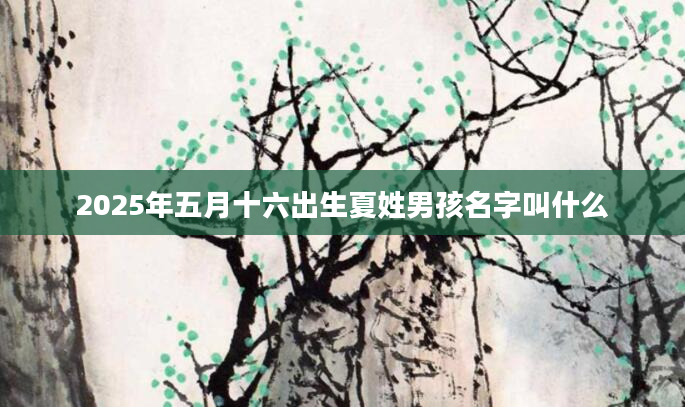 2025年五月十六出生夏姓男孩名字叫什么