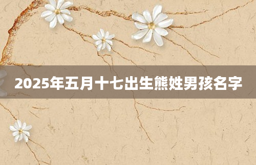 2025年五月十七出生熊姓男孩名字