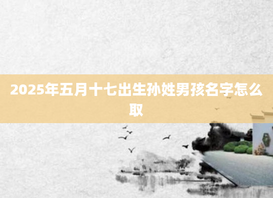 2025年五月十七出生孙姓男孩名字怎么取