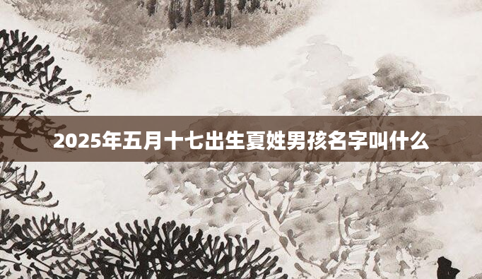 2025年五月十七出生夏姓男孩名字叫什么