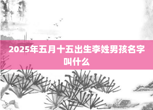 2025年五月十五出生李姓男孩名字叫什么